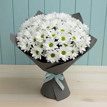 Букет цветов из:  Хризантемы в Верхнем Икорце