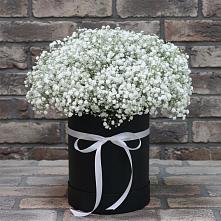 Цветочная композиция из Гипсофила в шляпной коробке в Верхнем Икорце