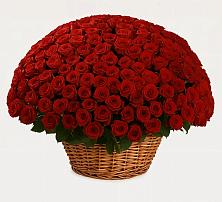 Премиум букет из: Розы в Верхнем Икорце